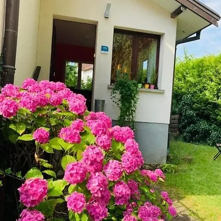 Appartement Avec Jardin Centre Ville De Belfort Exterior photo